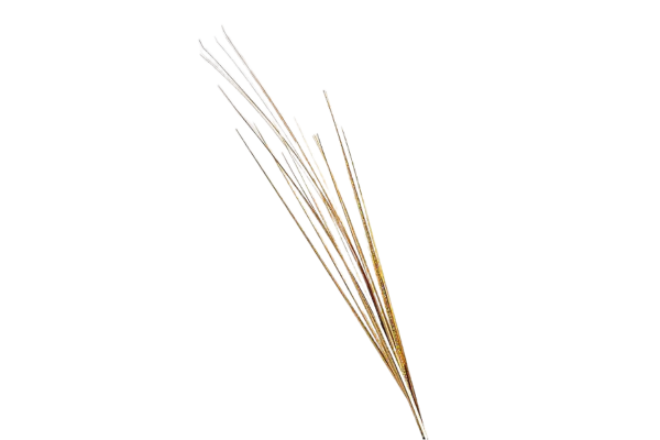 деко клонка, цвят металик златен 80см